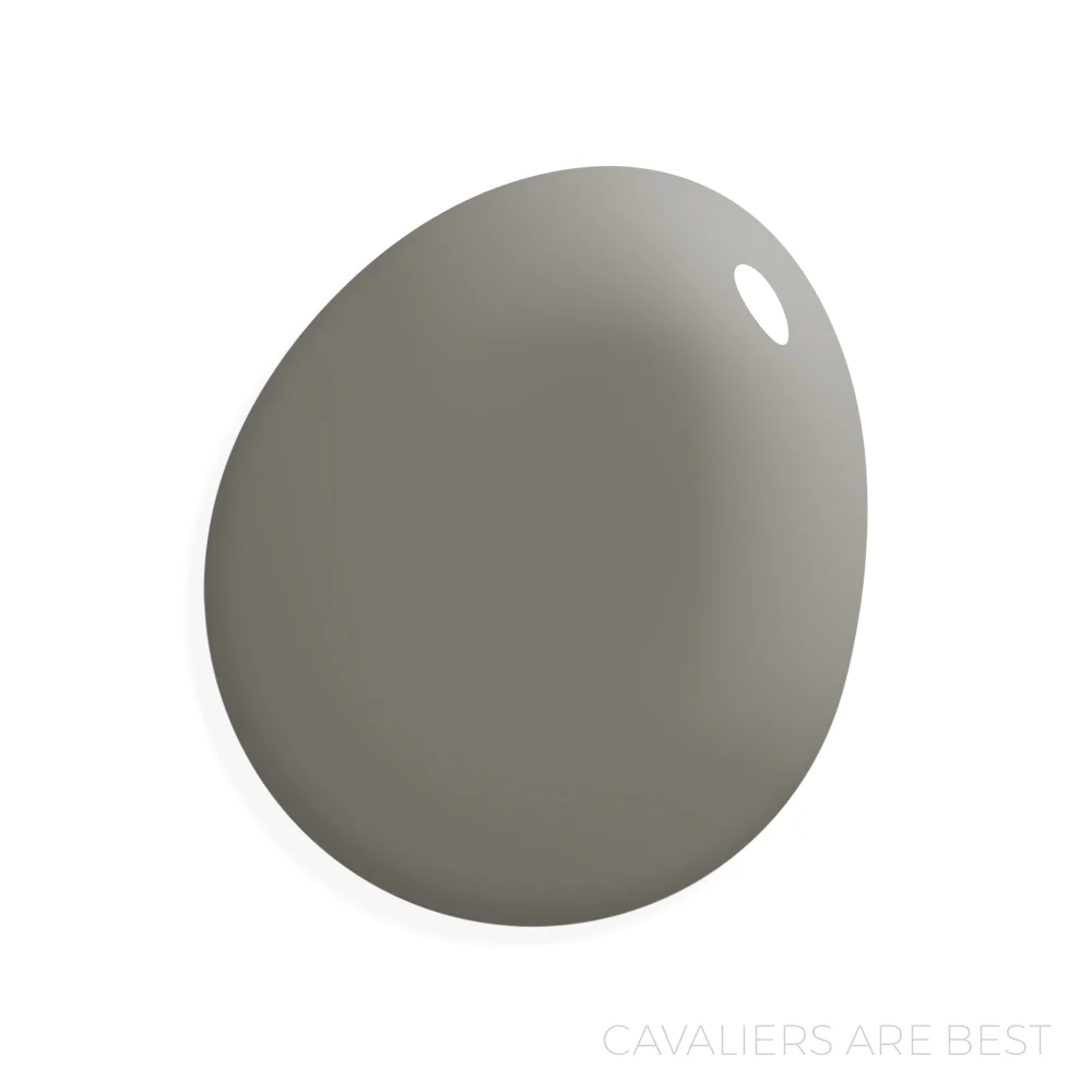 Cavaliers are best